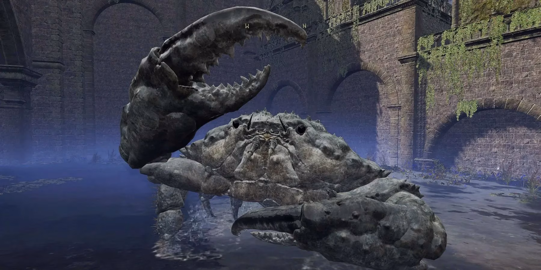 the-unsung-crusader-of-the-lands-between-blackguard-big-boggarts-eternal-crab-war-image-0